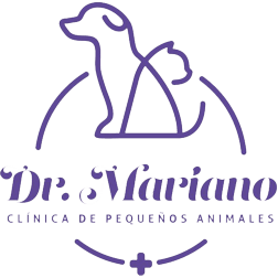 Dr. Mariano Dr. Mariano